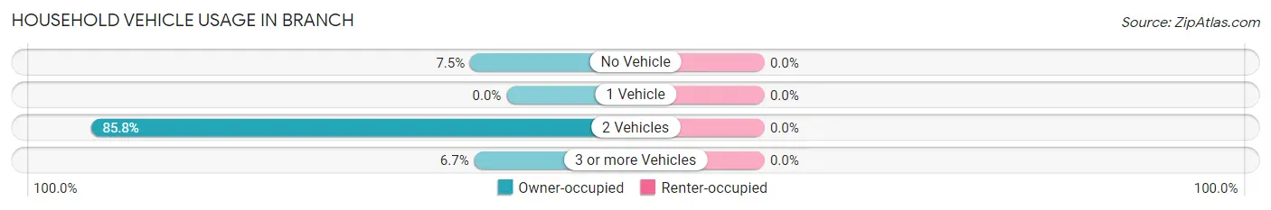Household Vehicle Usage in Branch