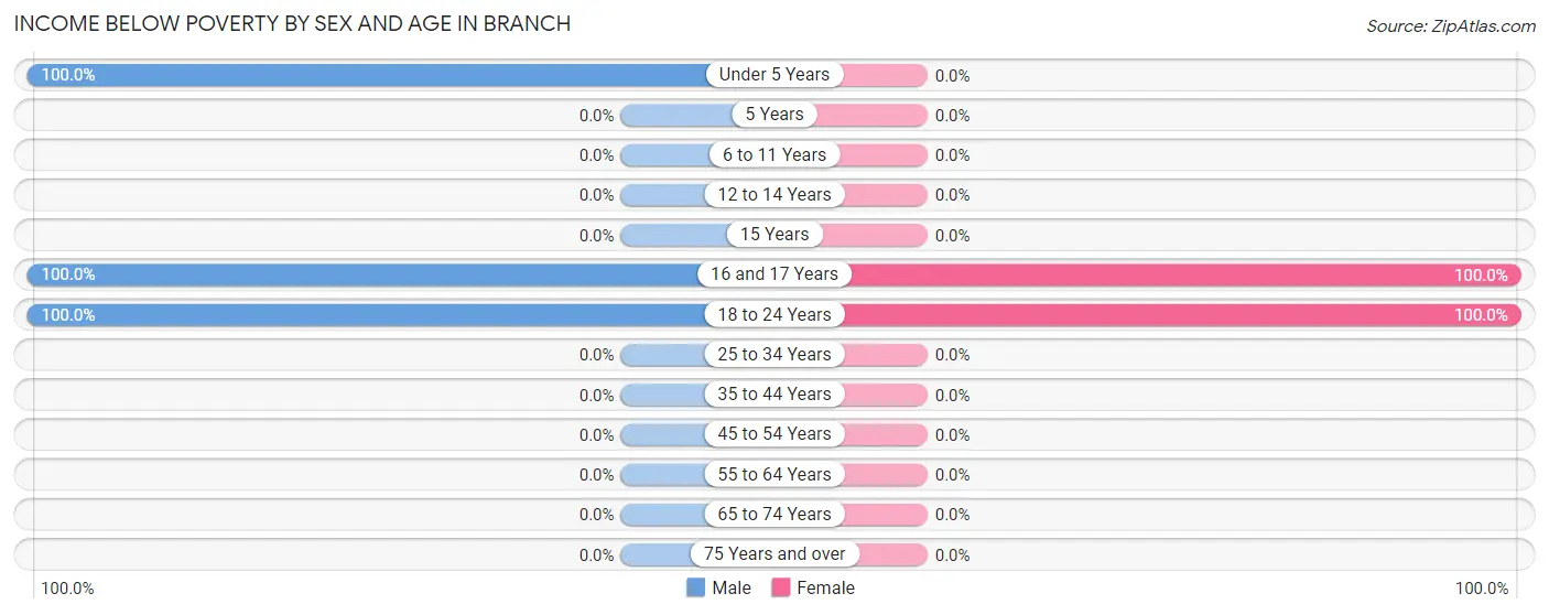 Income Below Poverty by Sex and Age in Branch