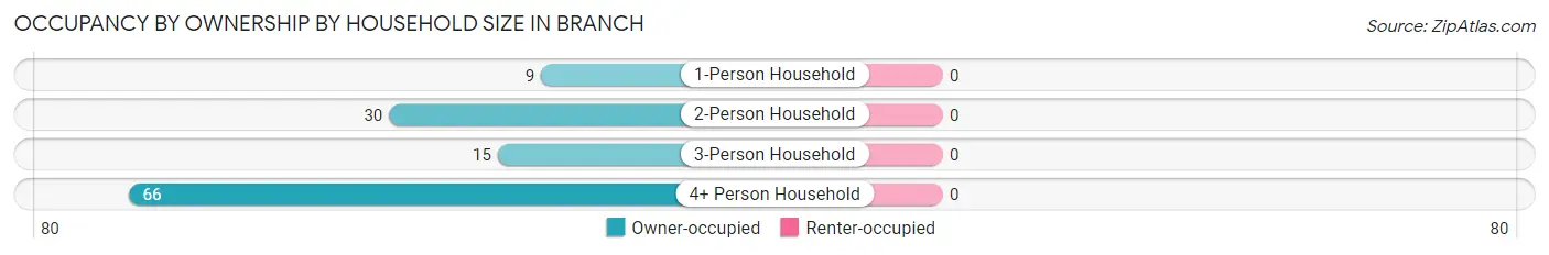 Occupancy by Ownership by Household Size in Branch
