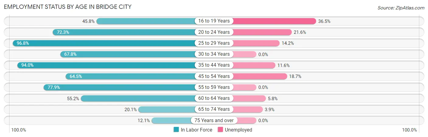 Employment Status by Age in Bridge City