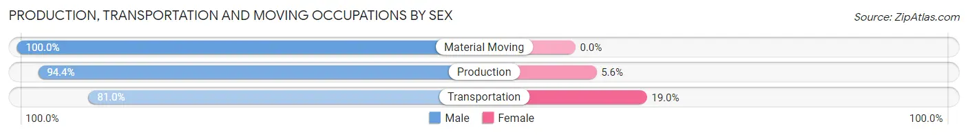 Production, Transportation and Moving Occupations by Sex in Bridge City