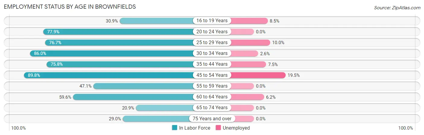 Employment Status by Age in Brownfields