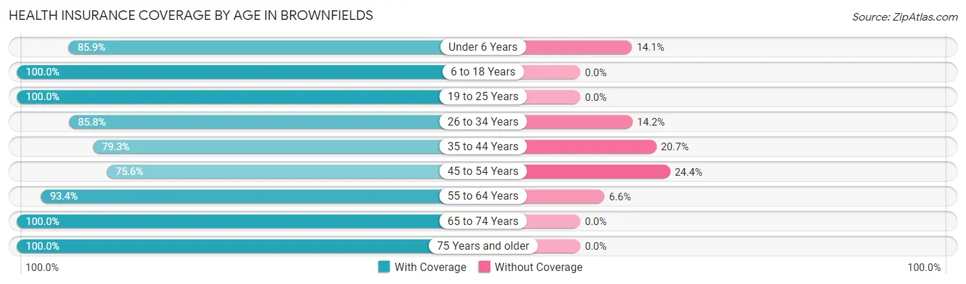 Health Insurance Coverage by Age in Brownfields
