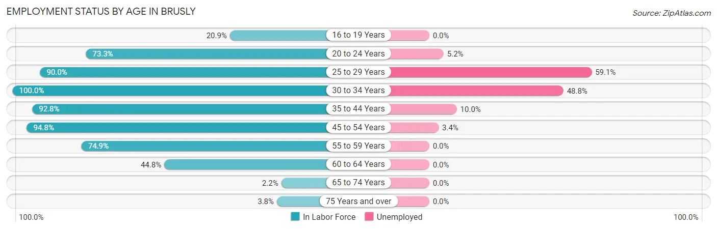 Employment Status by Age in Brusly