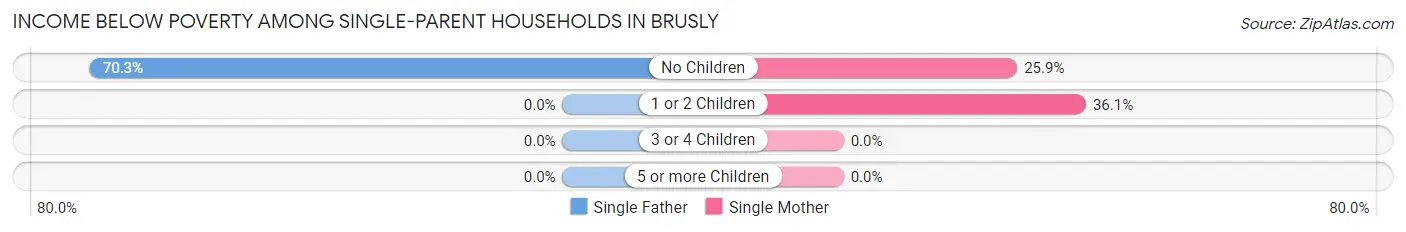 Income Below Poverty Among Single-Parent Households in Brusly