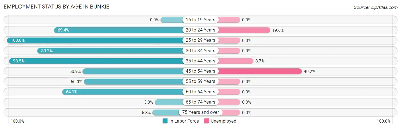 Employment Status by Age in Bunkie
