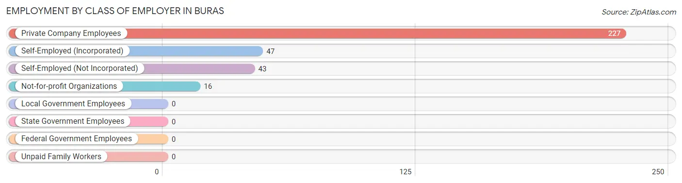 Employment by Class of Employer in Buras