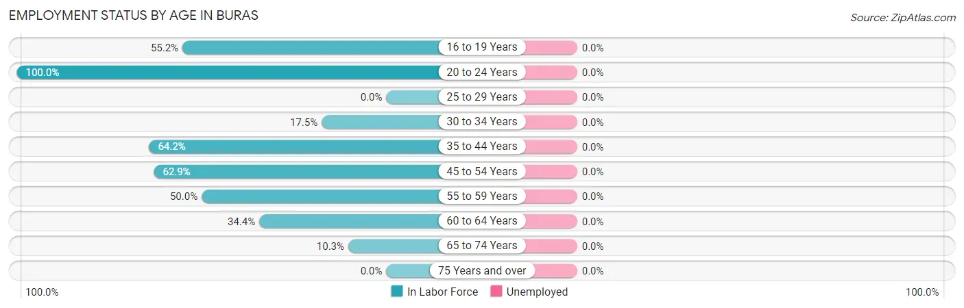 Employment Status by Age in Buras