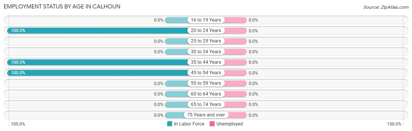 Employment Status by Age in Calhoun