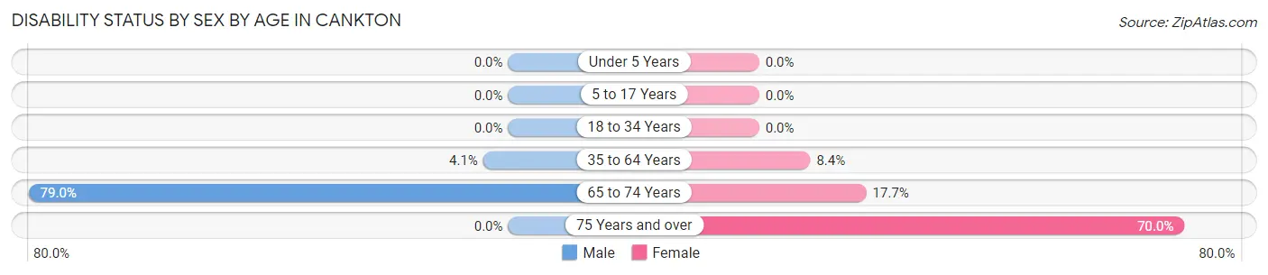 Disability Status by Sex by Age in Cankton