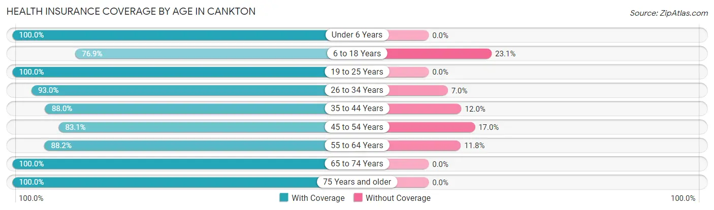 Health Insurance Coverage by Age in Cankton