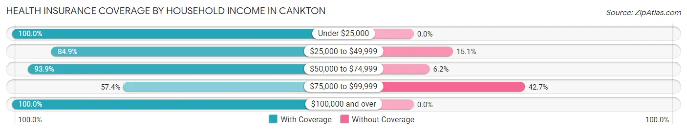 Health Insurance Coverage by Household Income in Cankton
