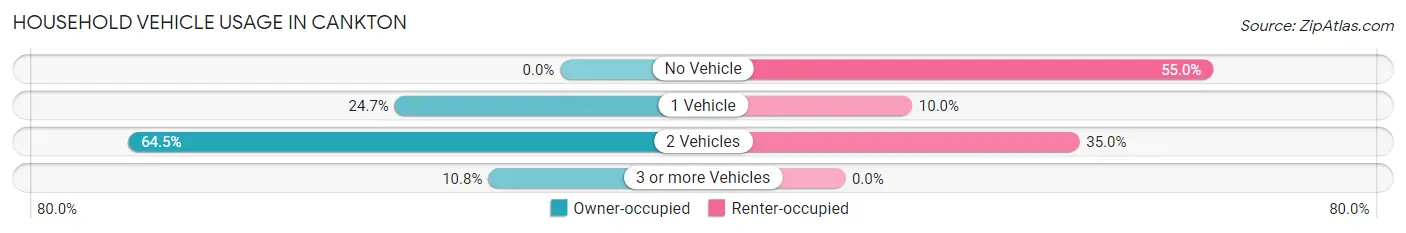 Household Vehicle Usage in Cankton