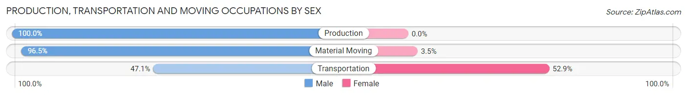 Production, Transportation and Moving Occupations by Sex in Cankton