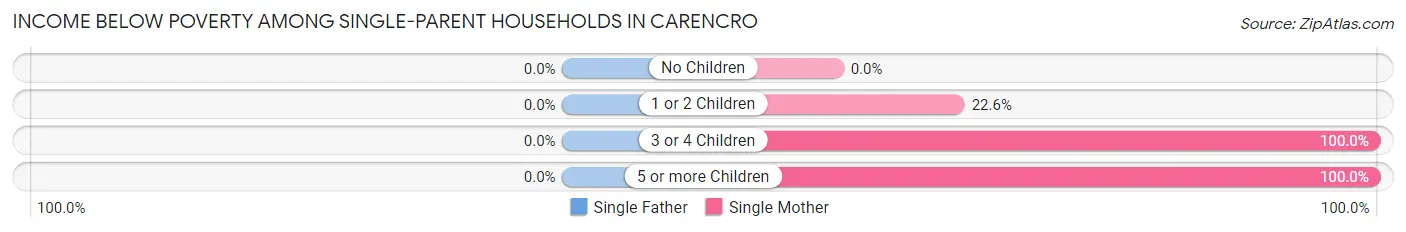 Income Below Poverty Among Single-Parent Households in Carencro