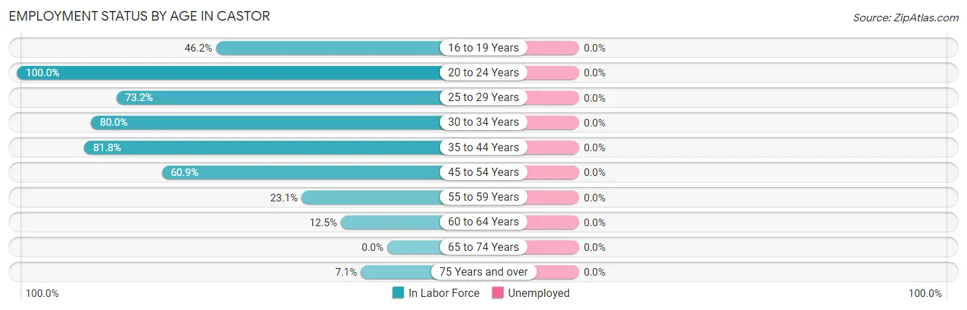 Employment Status by Age in Castor