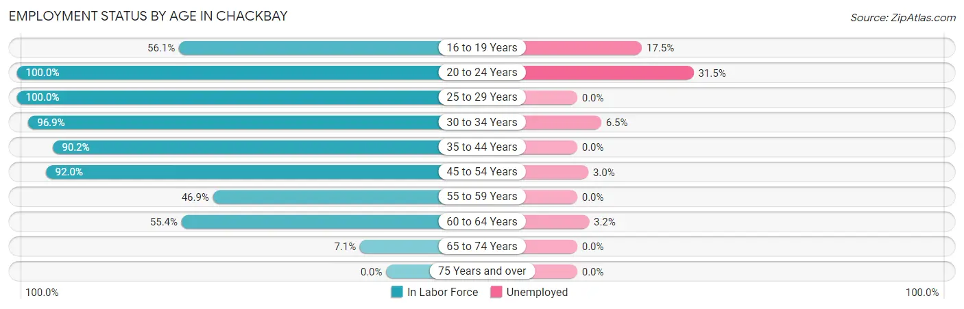 Employment Status by Age in Chackbay