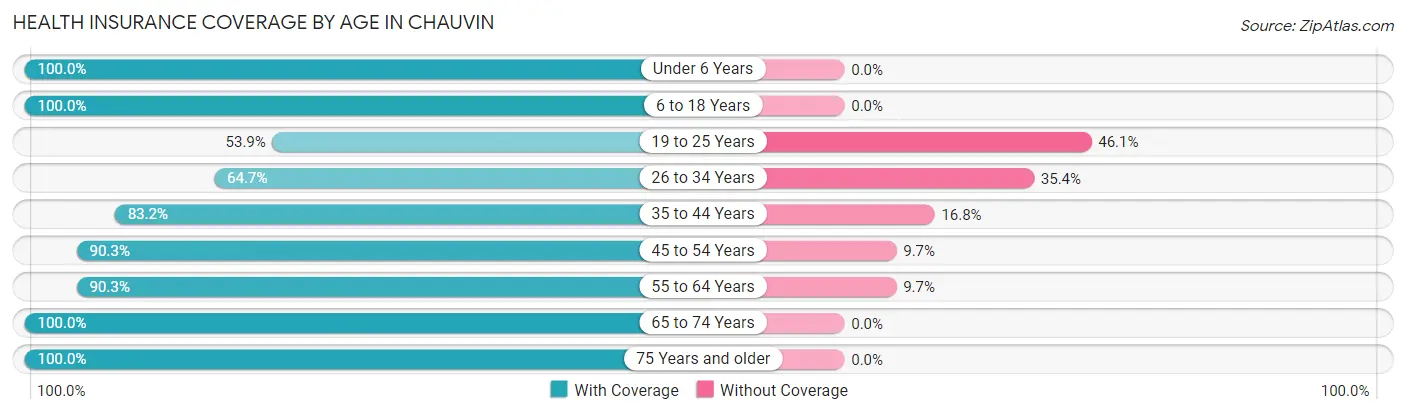 Health Insurance Coverage by Age in Chauvin