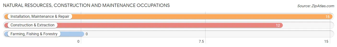 Natural Resources, Construction and Maintenance Occupations in Choudrant