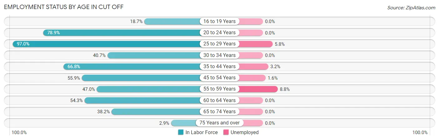 Employment Status by Age in Cut Off