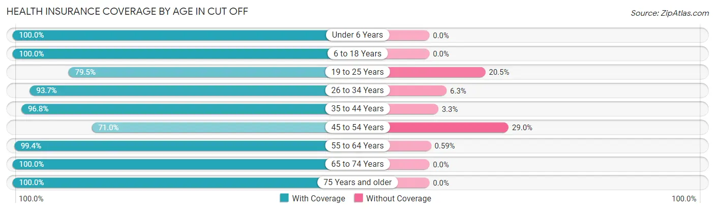 Health Insurance Coverage by Age in Cut Off