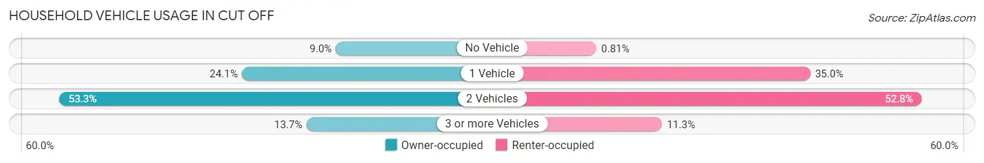 Household Vehicle Usage in Cut Off
