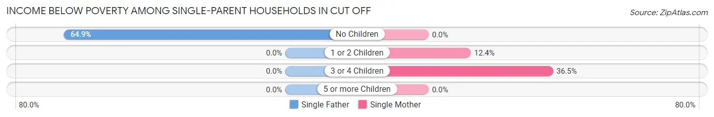 Income Below Poverty Among Single-Parent Households in Cut Off