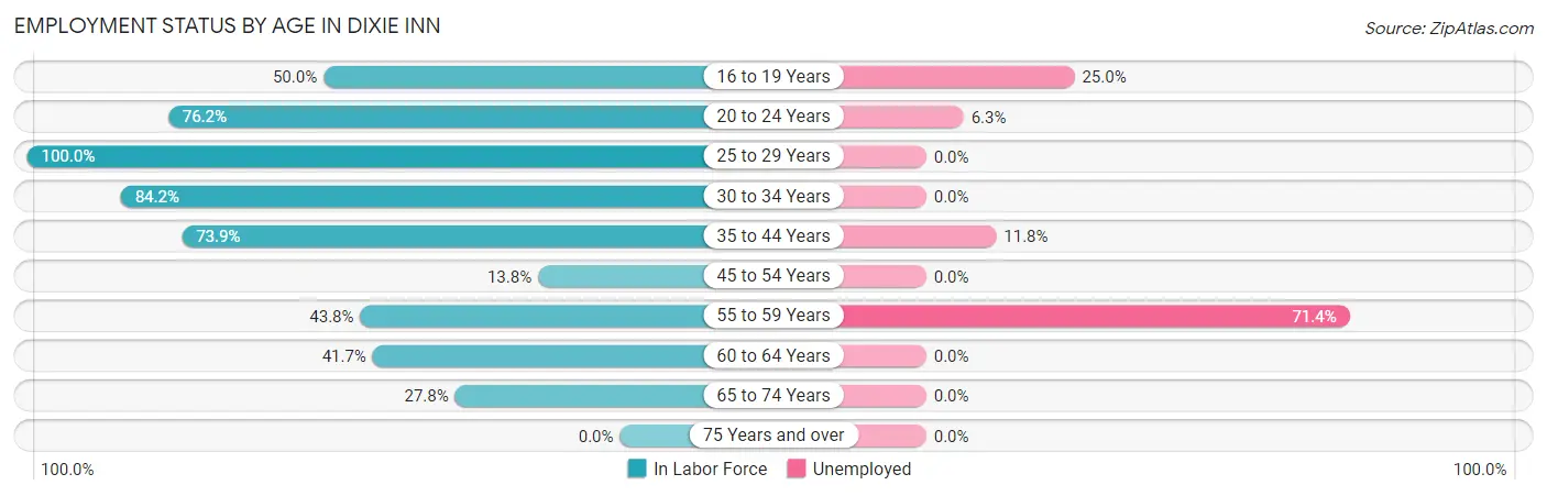 Employment Status by Age in Dixie Inn