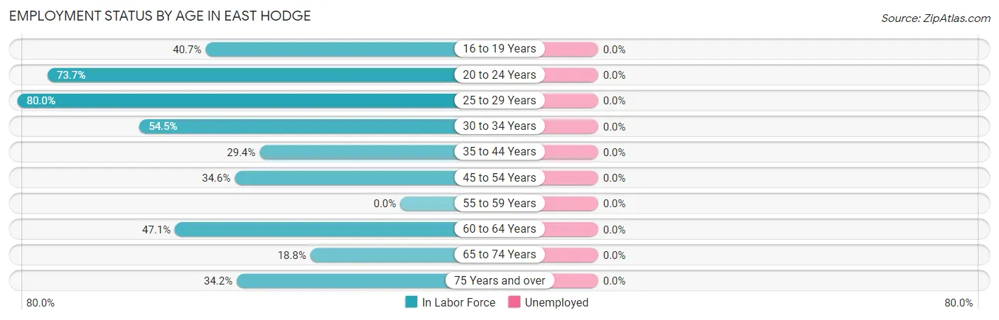 Employment Status by Age in East Hodge