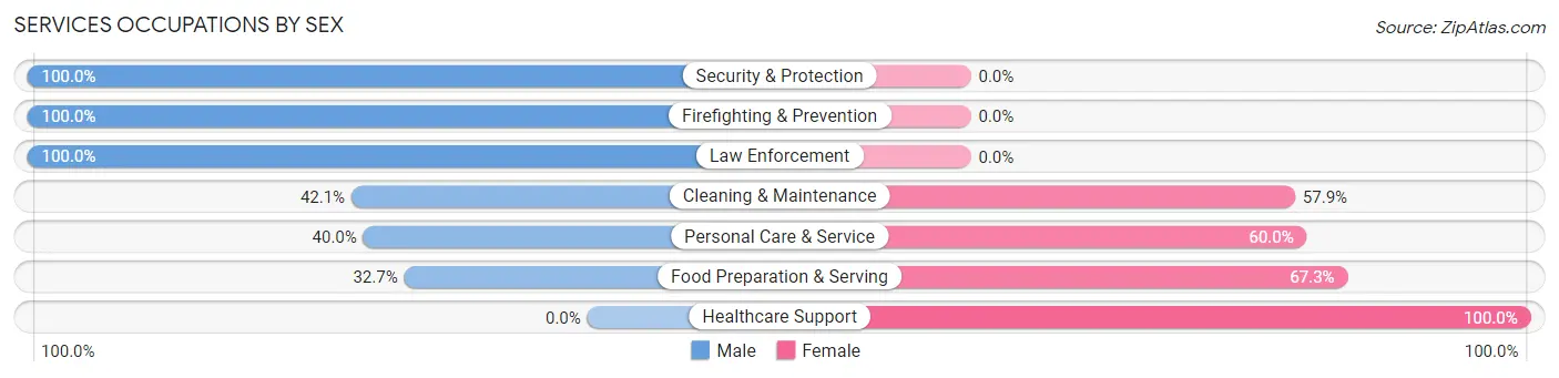 Services Occupations by Sex in Elmwood