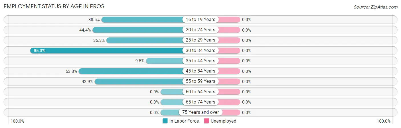 Employment Status by Age in Eros