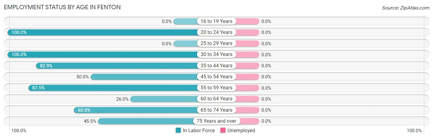 Employment Status by Age in Fenton