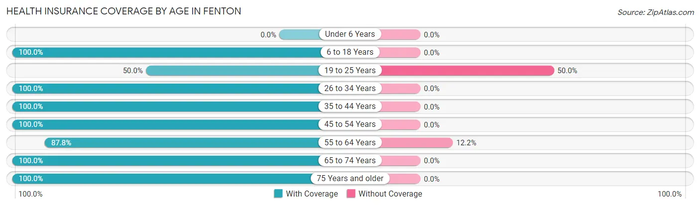 Health Insurance Coverage by Age in Fenton