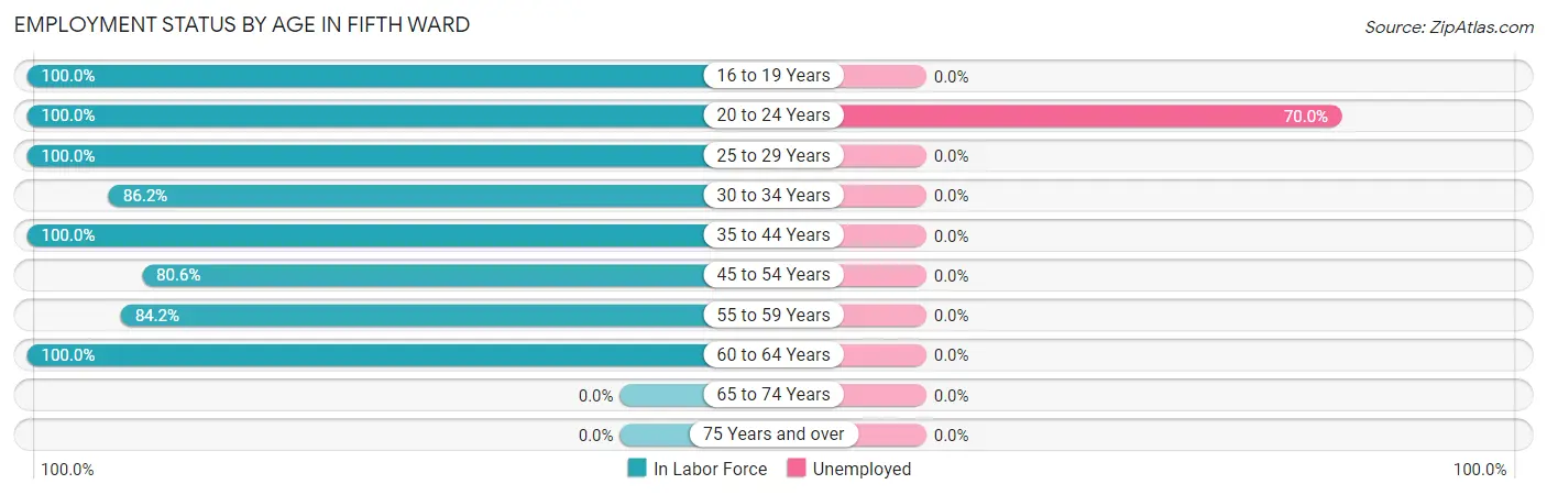 Employment Status by Age in Fifth Ward