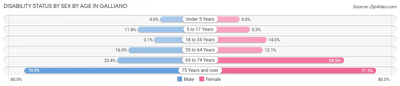 Disability Status by Sex by Age in Galliano