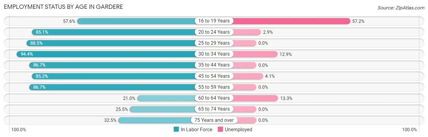 Employment Status by Age in Gardere