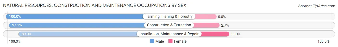 Natural Resources, Construction and Maintenance Occupations by Sex in Gardere