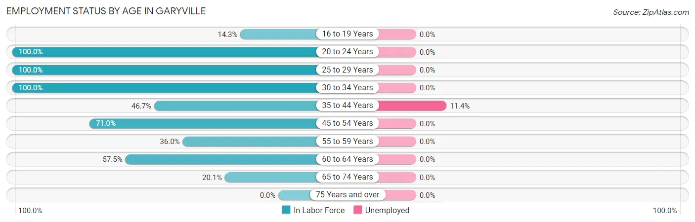 Employment Status by Age in Garyville