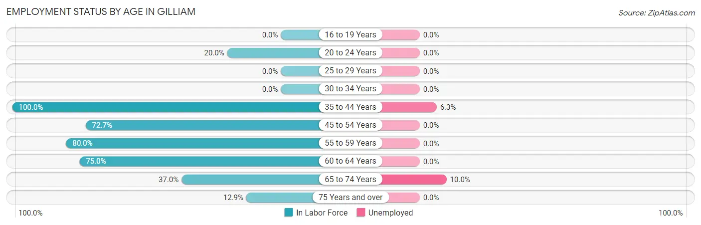 Employment Status by Age in Gilliam