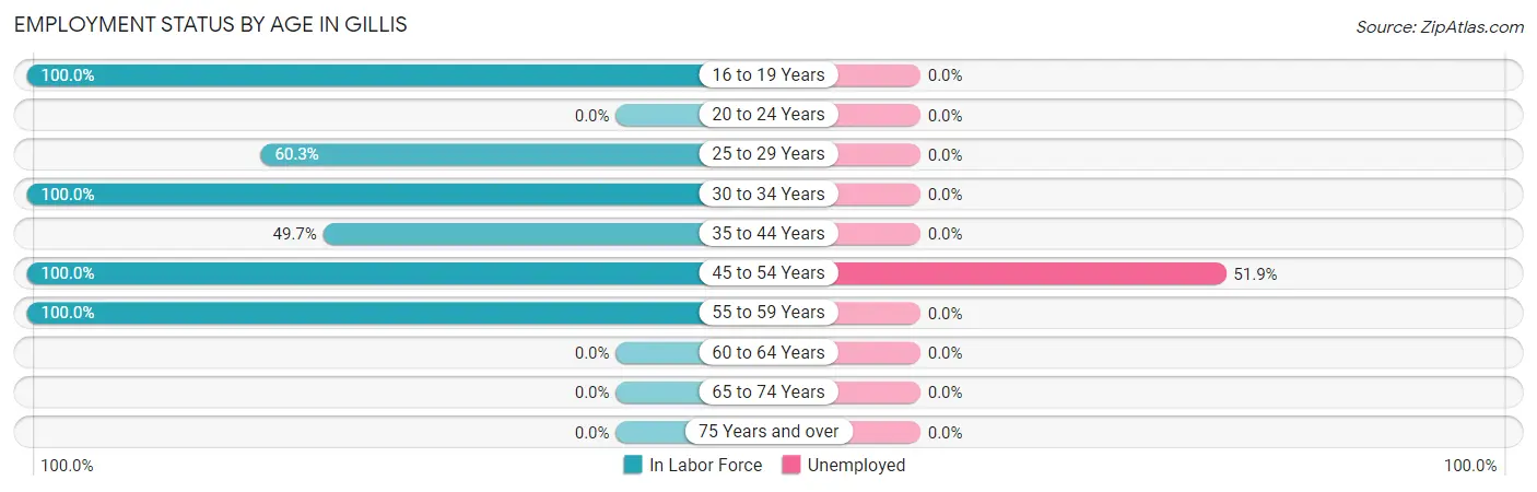 Employment Status by Age in Gillis