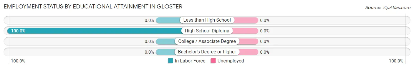 Employment Status by Educational Attainment in Gloster