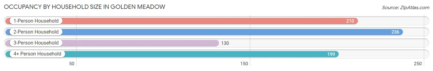 Occupancy by Household Size in Golden Meadow