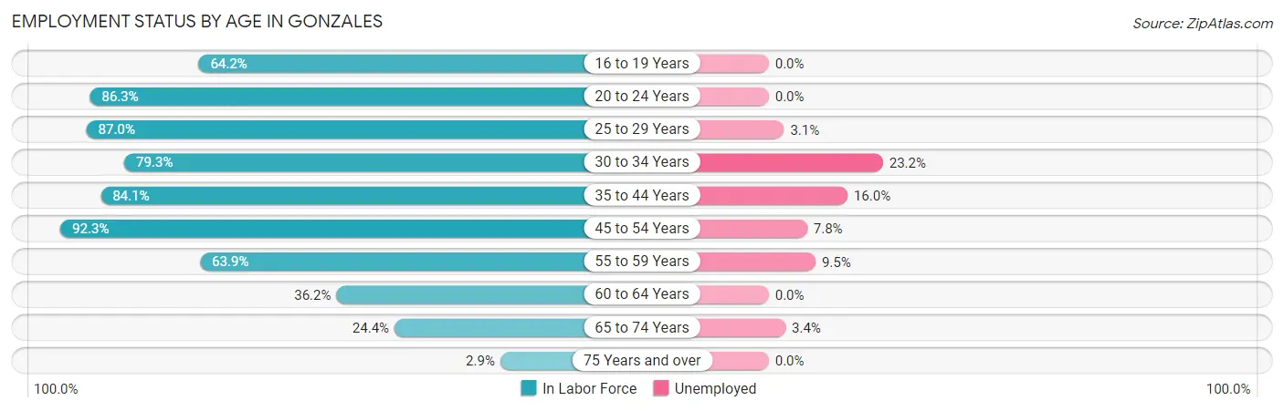 Employment Status by Age in Gonzales