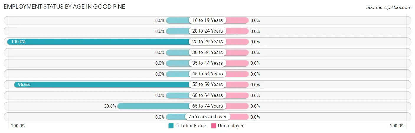 Employment Status by Age in Good Pine