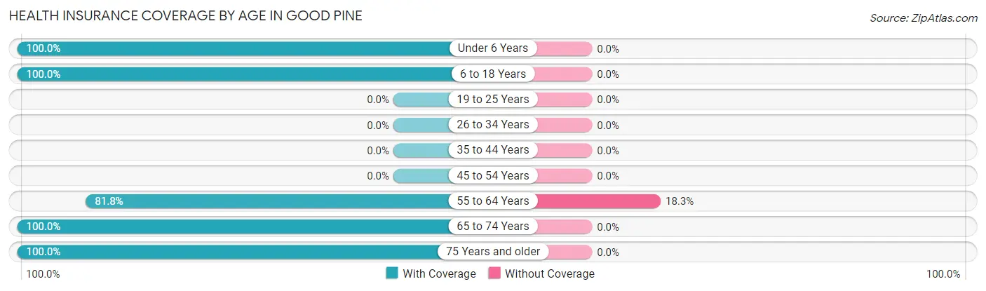 Health Insurance Coverage by Age in Good Pine