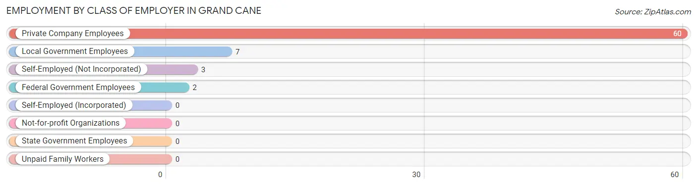 Employment by Class of Employer in Grand Cane