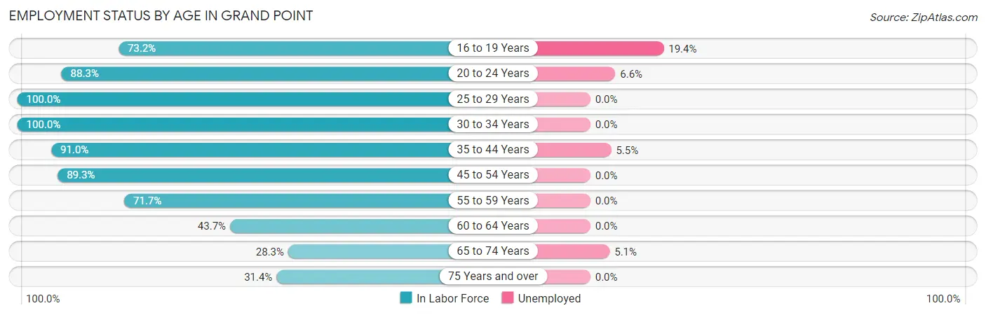 Employment Status by Age in Grand Point