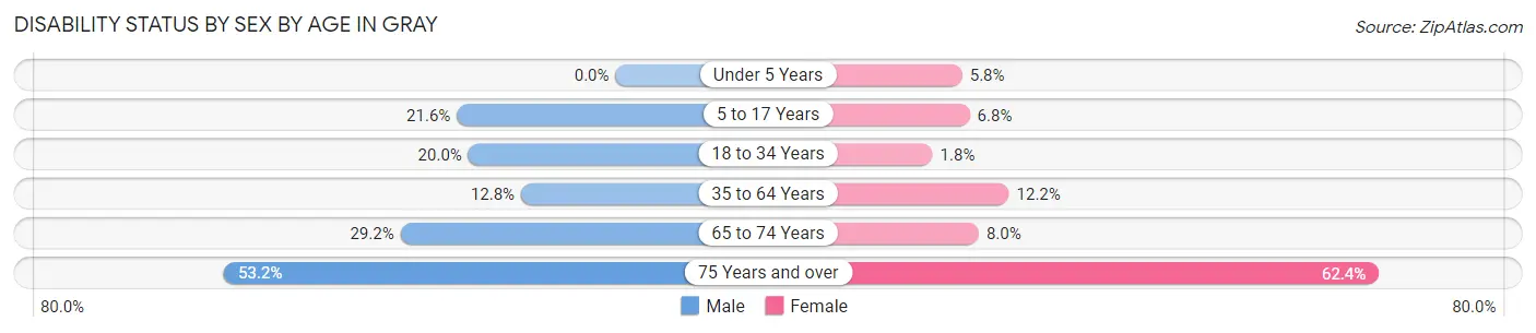 Disability Status by Sex by Age in Gray