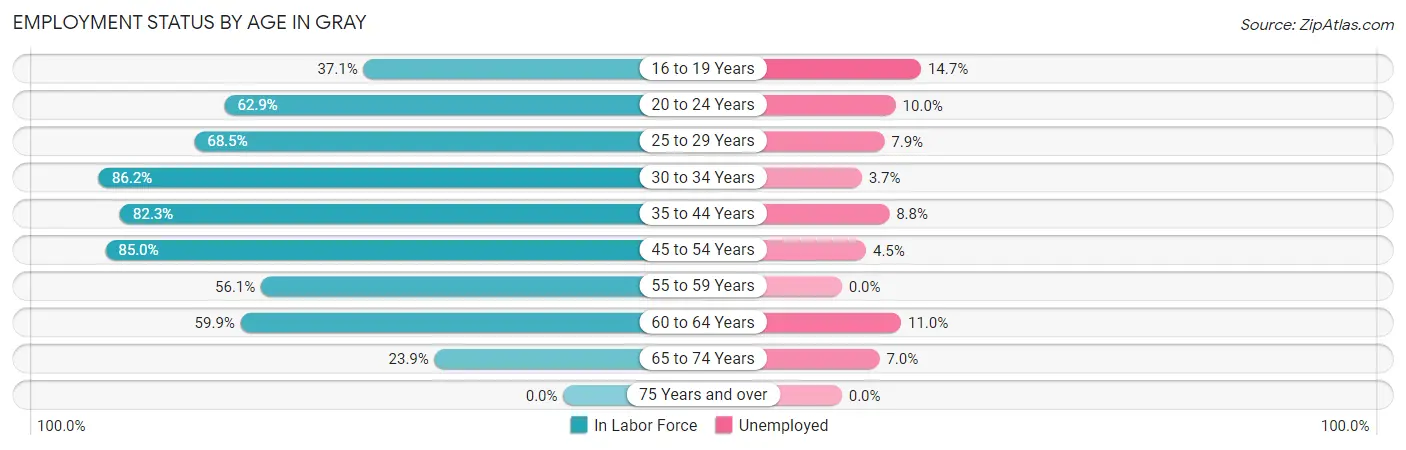 Employment Status by Age in Gray