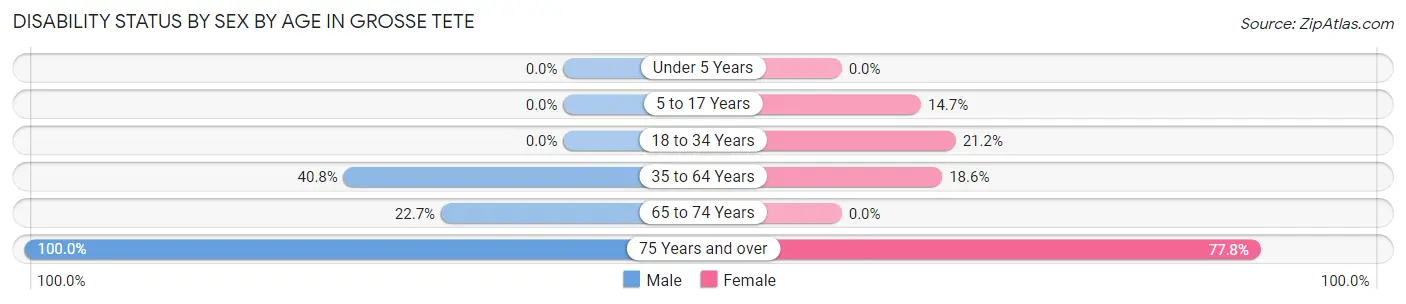 Disability Status by Sex by Age in Grosse Tete